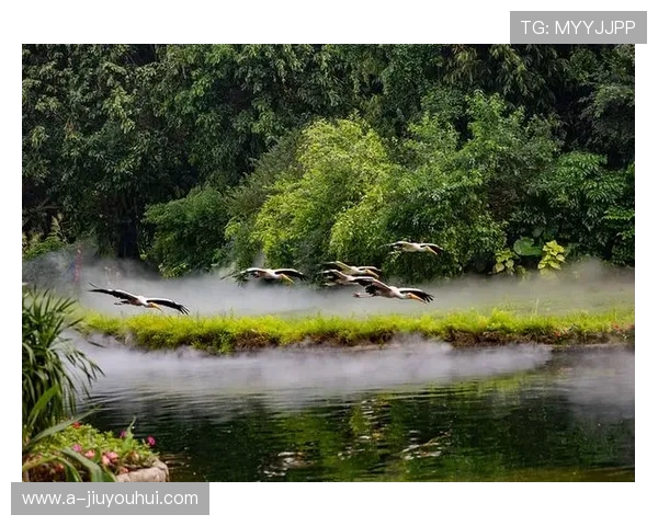 足球飞鸟声音究竟有多大 为什么听起来像飞鸟的声音来源解释